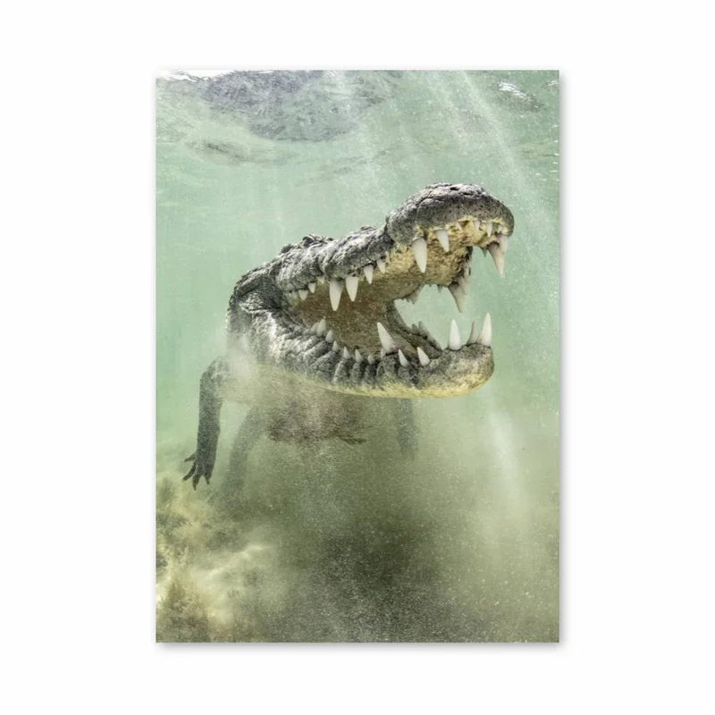aesthetic-posters11291806