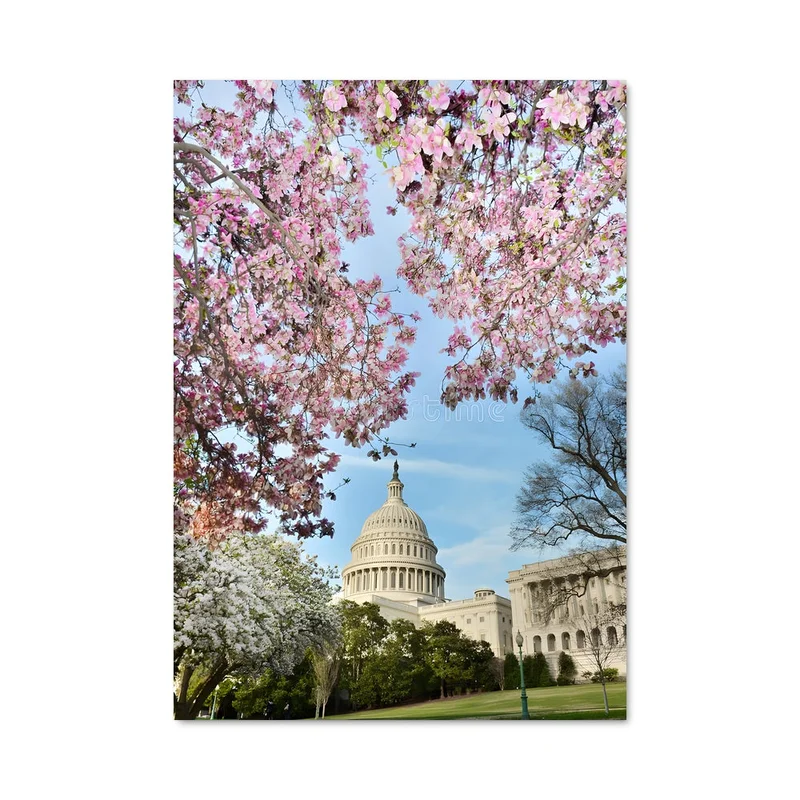 aesthetic-posters21558383