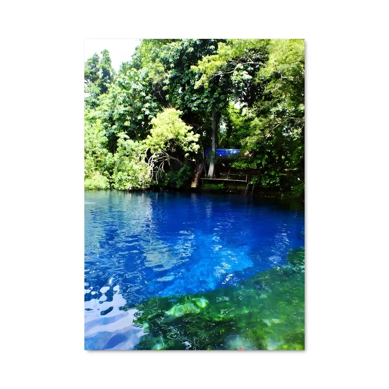 aesthetic-posters21567546