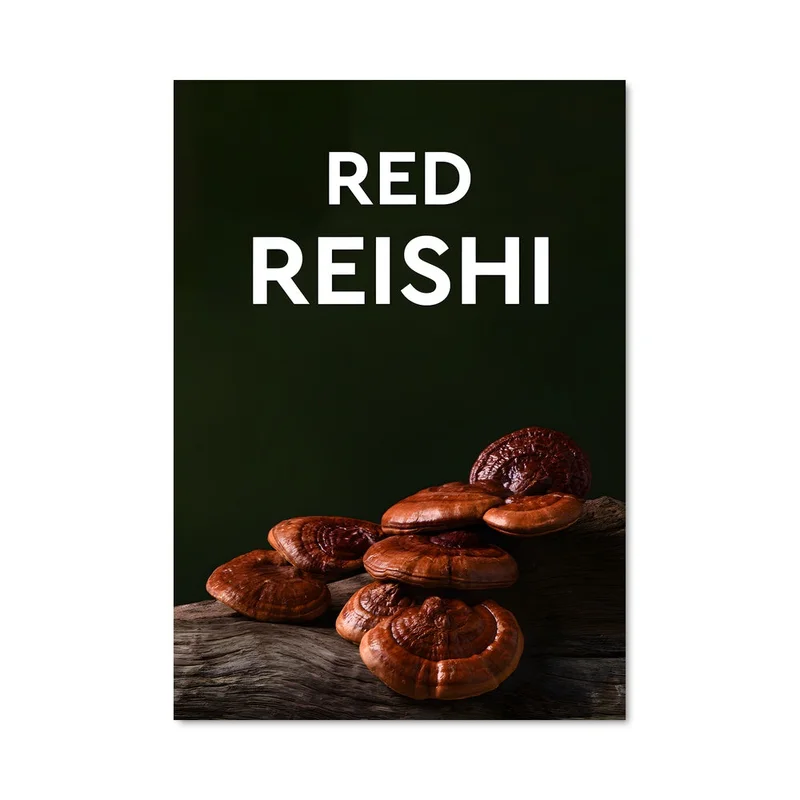 aesthetic-posters21591272
