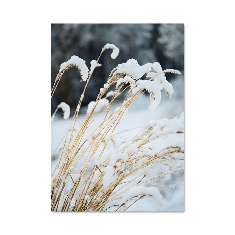 aesthetic-posters21673517