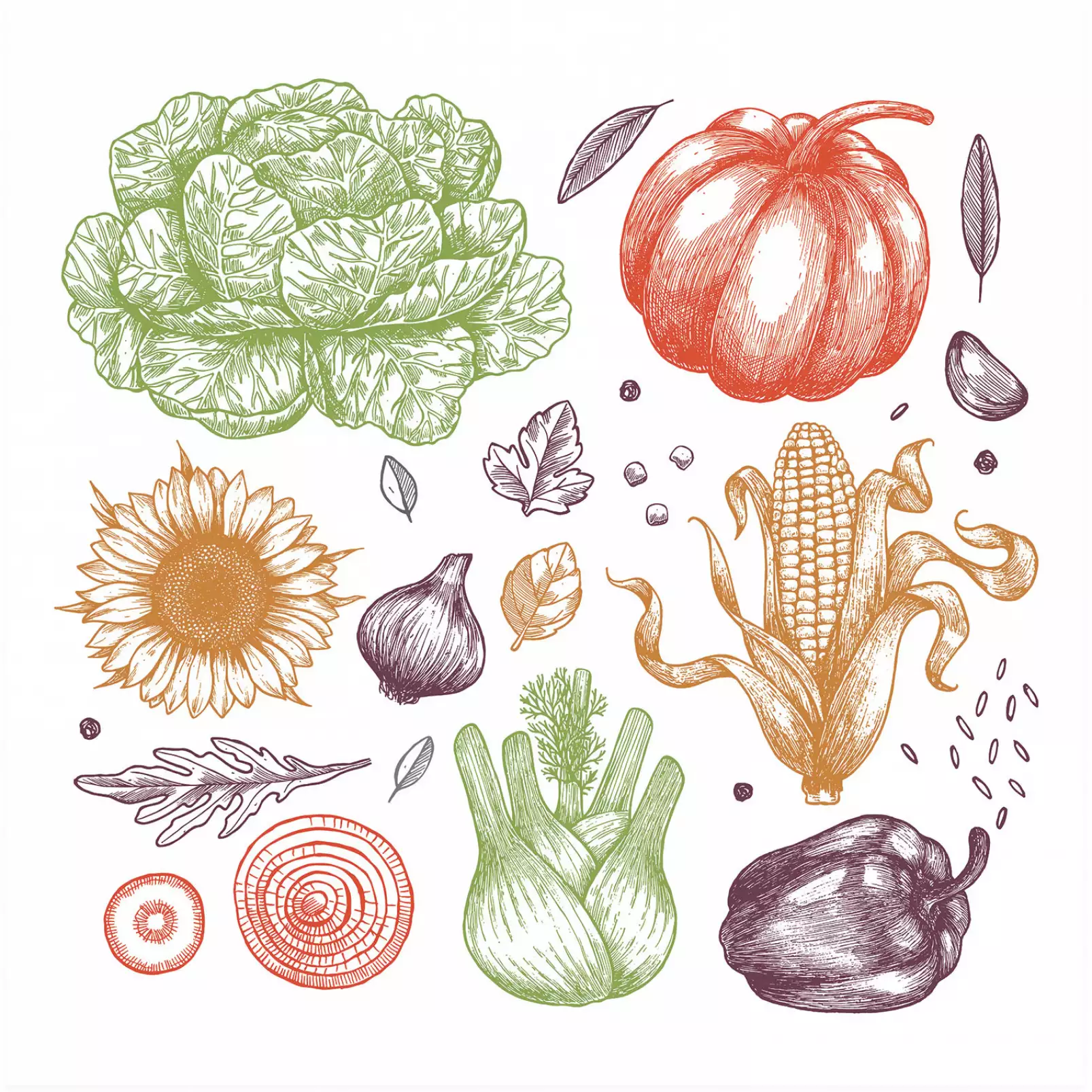 affiche-fruits-et-legumes-les-agrumes