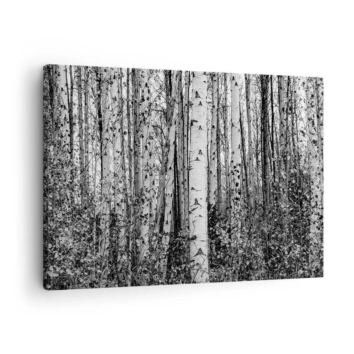 arttor1-1399081
