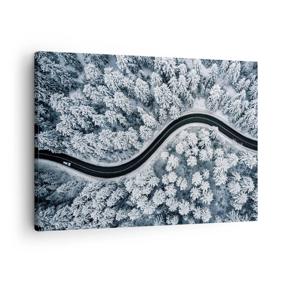 arttor1-1406555