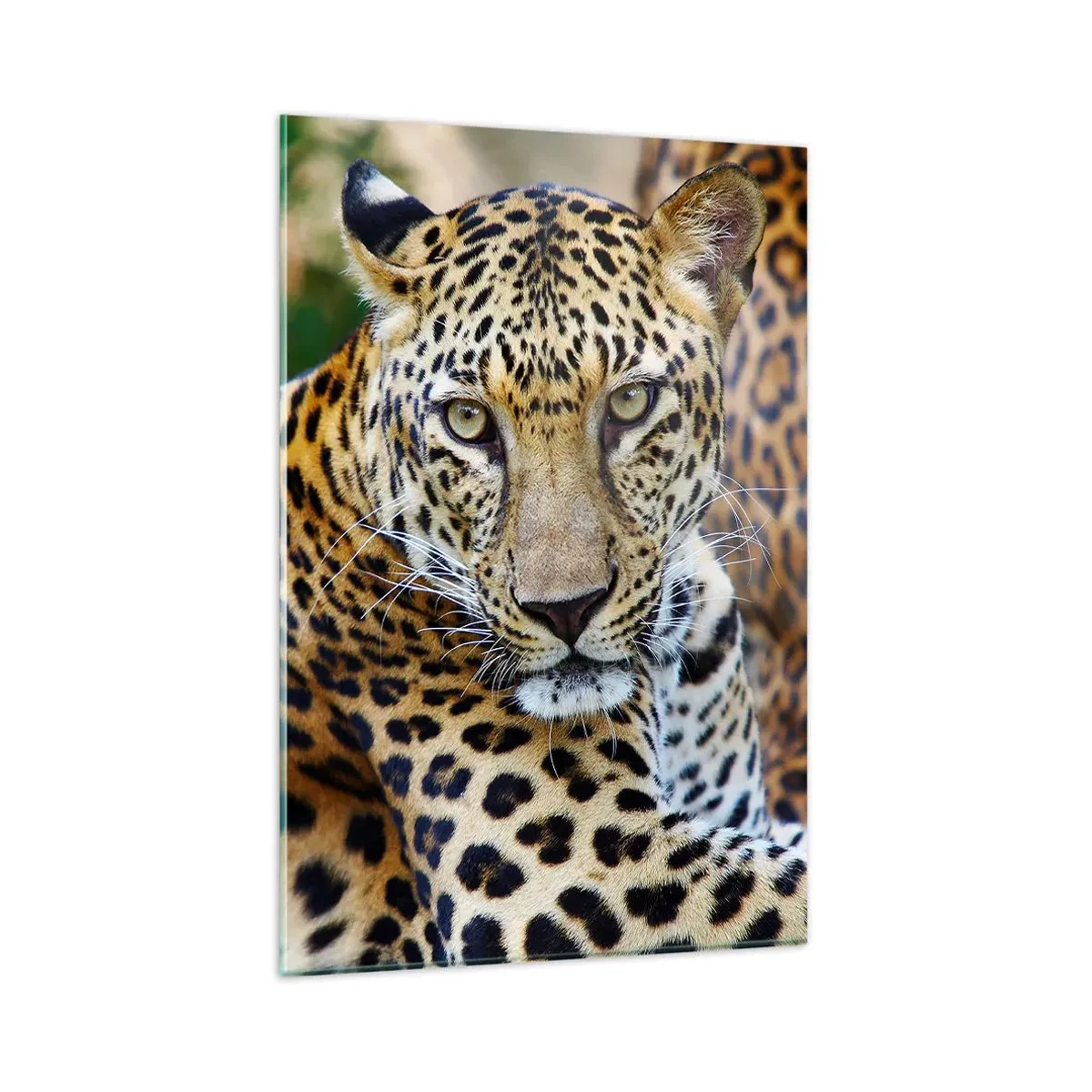 arttor1-1412806