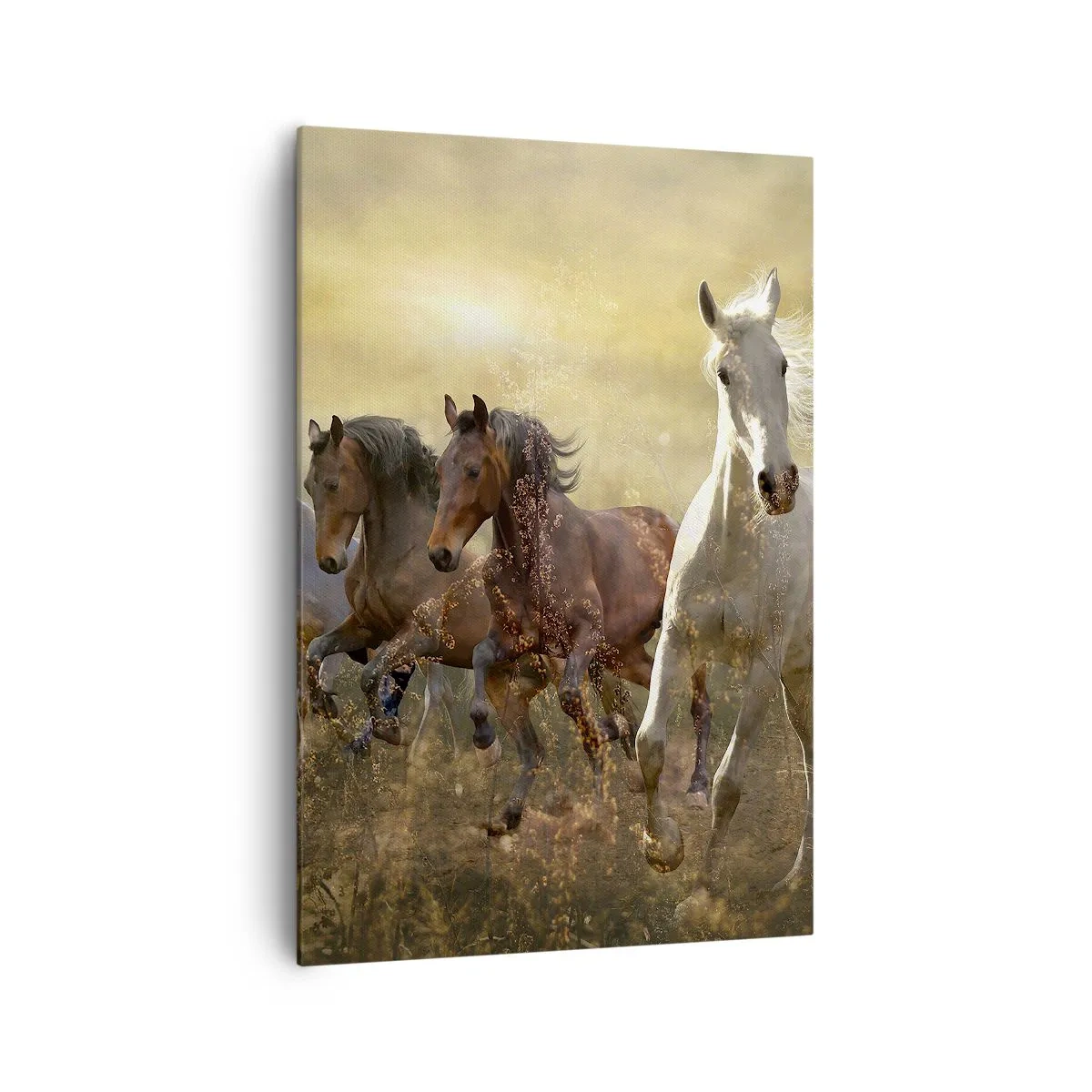 arttor2-1824084