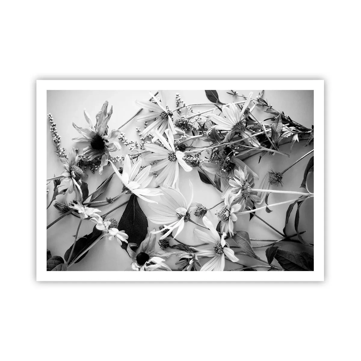 arttor2-239946