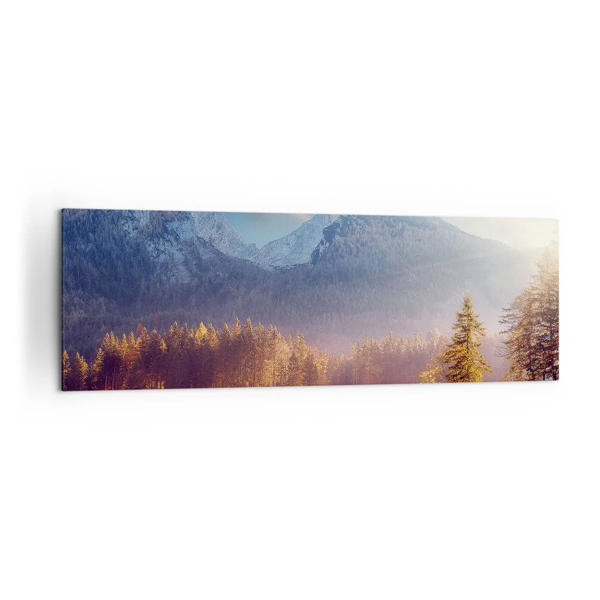 arttor2-91759