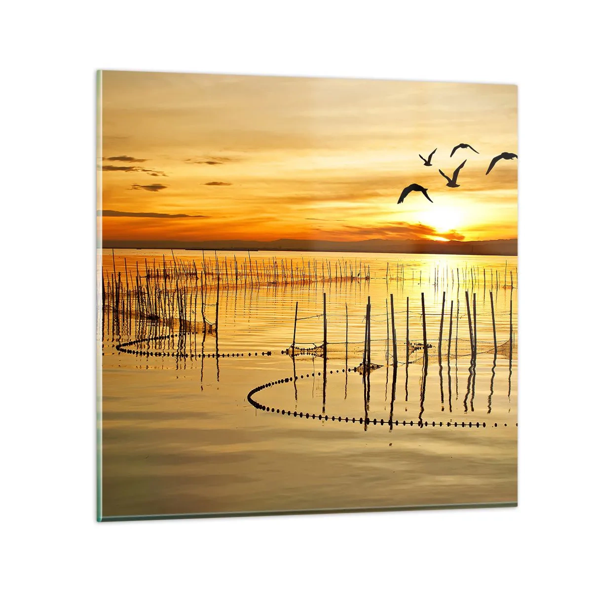 arttor3-216060