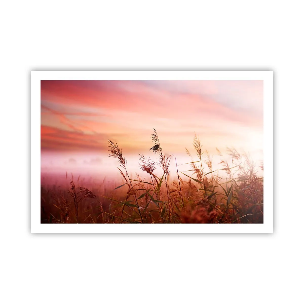 arttor3-229009