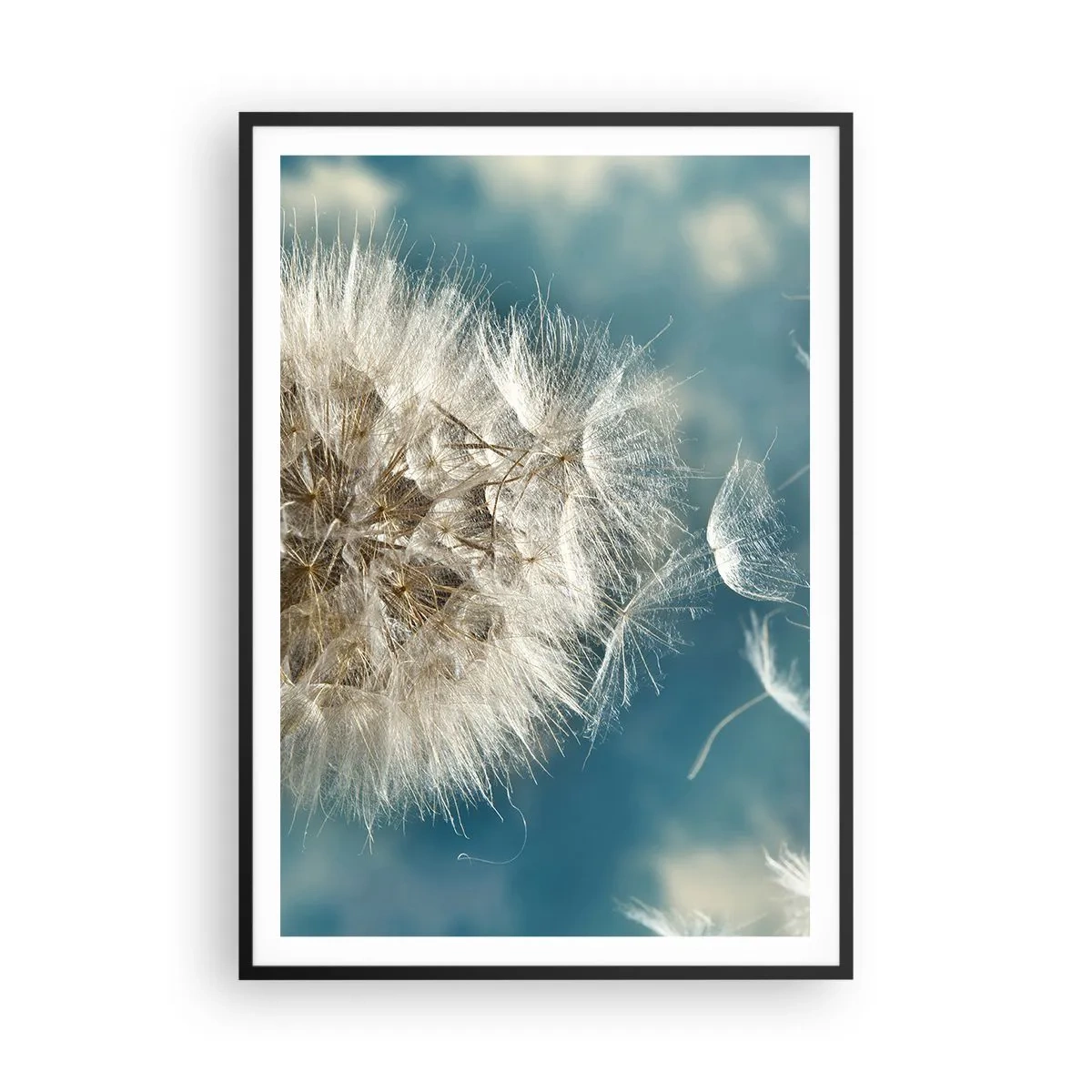 arttor3-236664