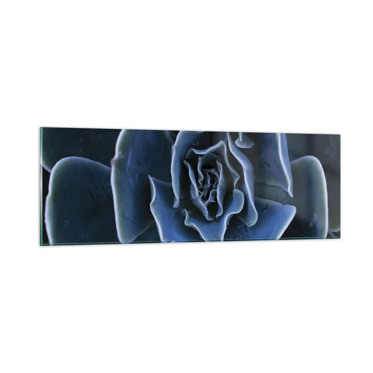 arttor3-278130