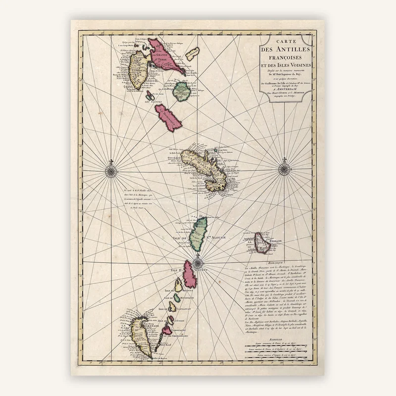 cartopolo1278118