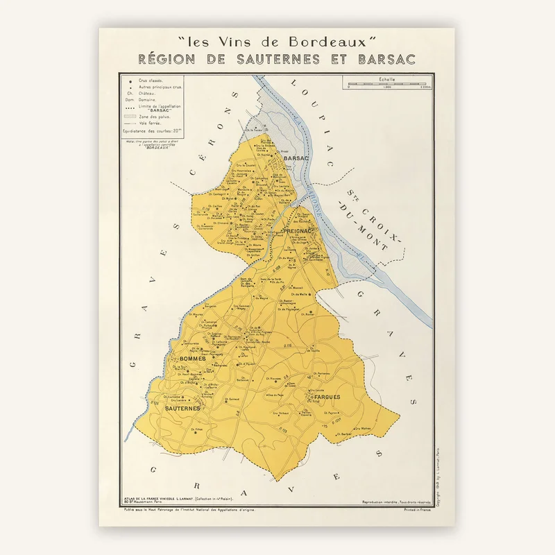 cartopolo1287446