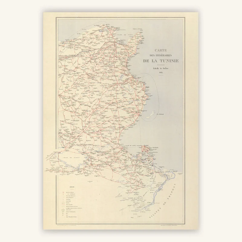 cartopolo1294712