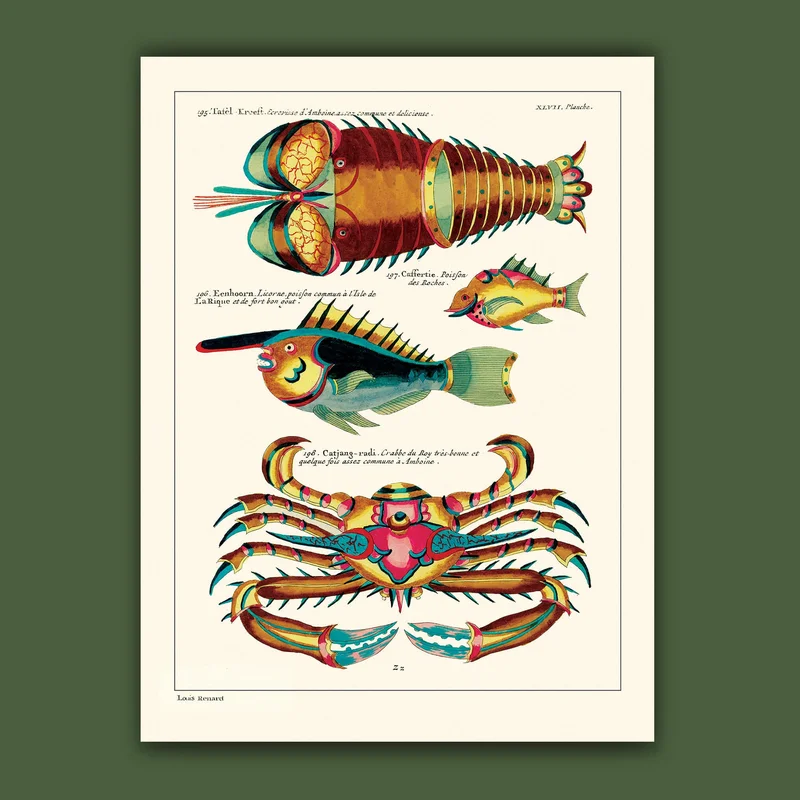 cartopolo1294940