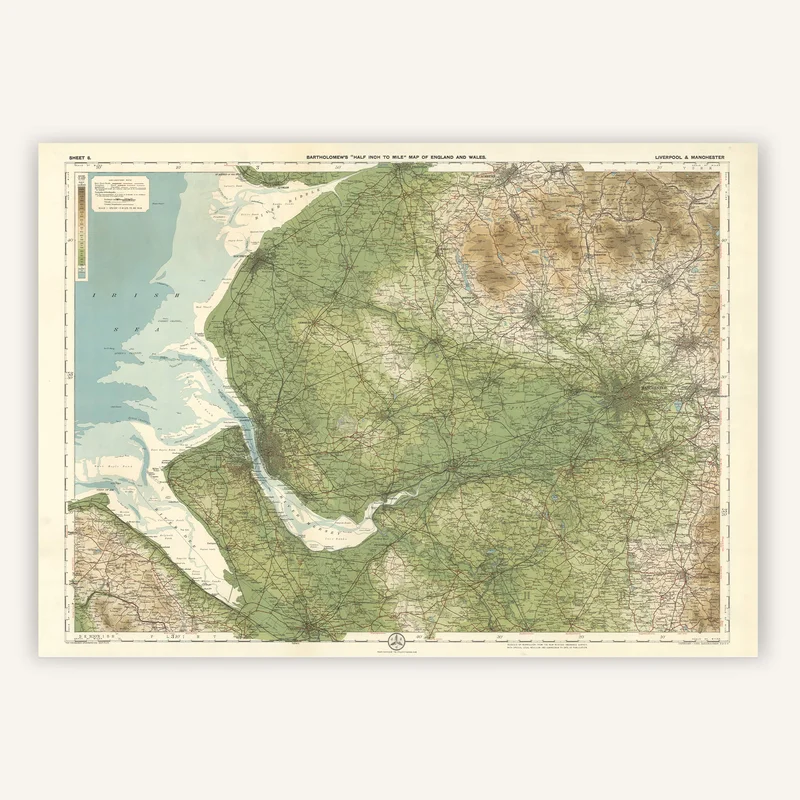 cartopolo1295992