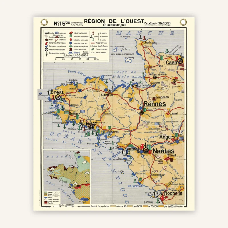 cartopolo1299649