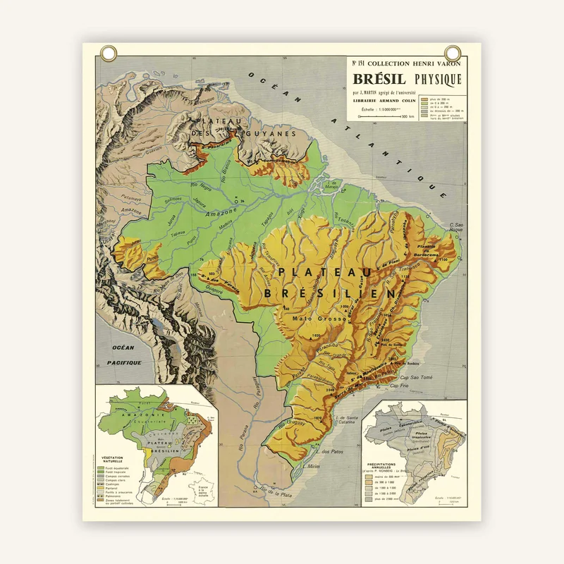 cartopolo1299683