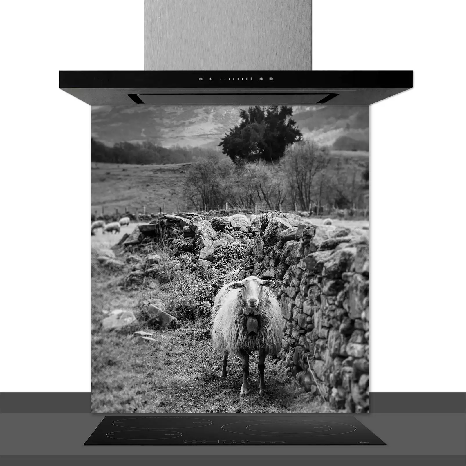 fond-de-hotte-decoratif-brebis-basque