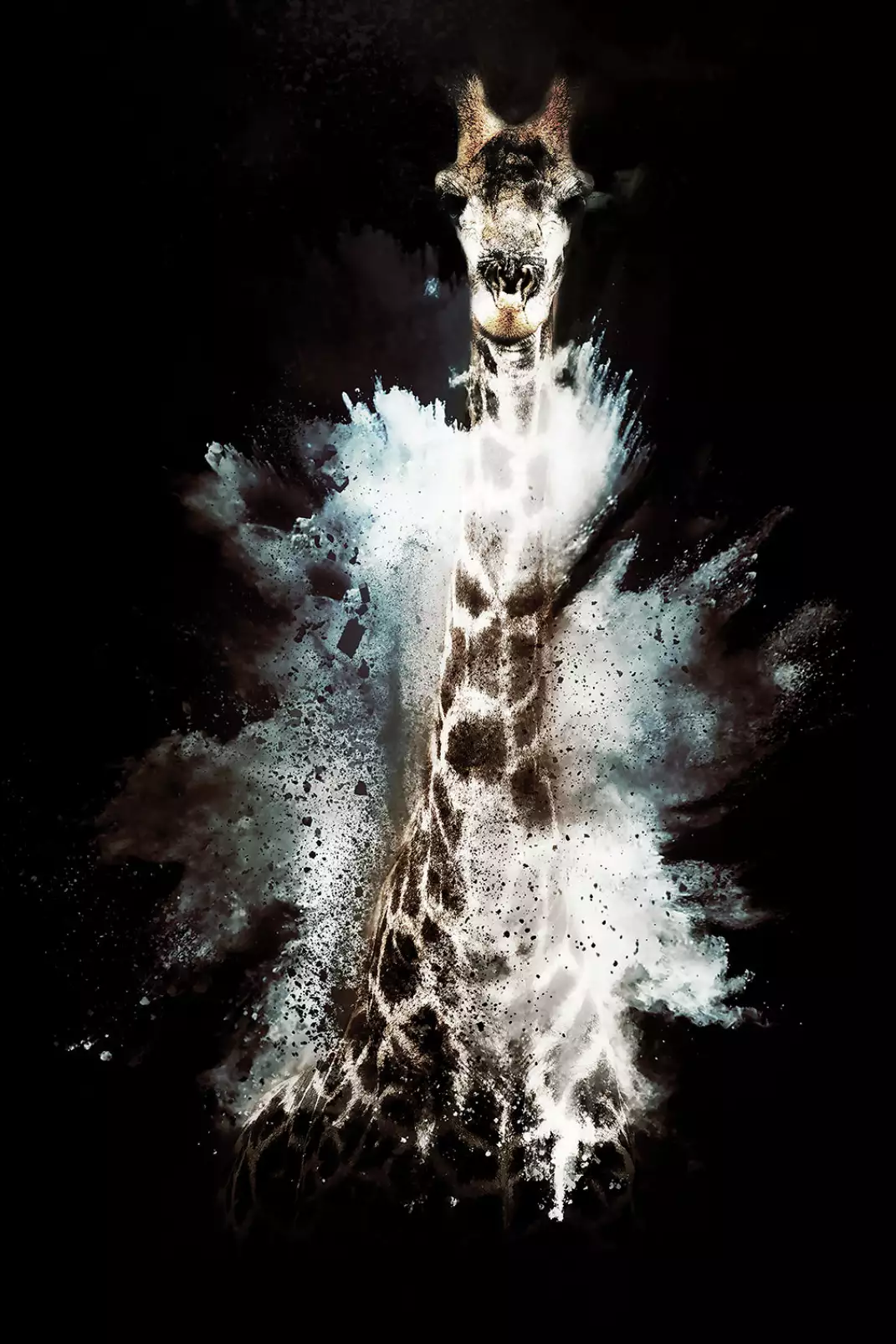 tableau-animaux-multicolore-wild-explosion-girafe