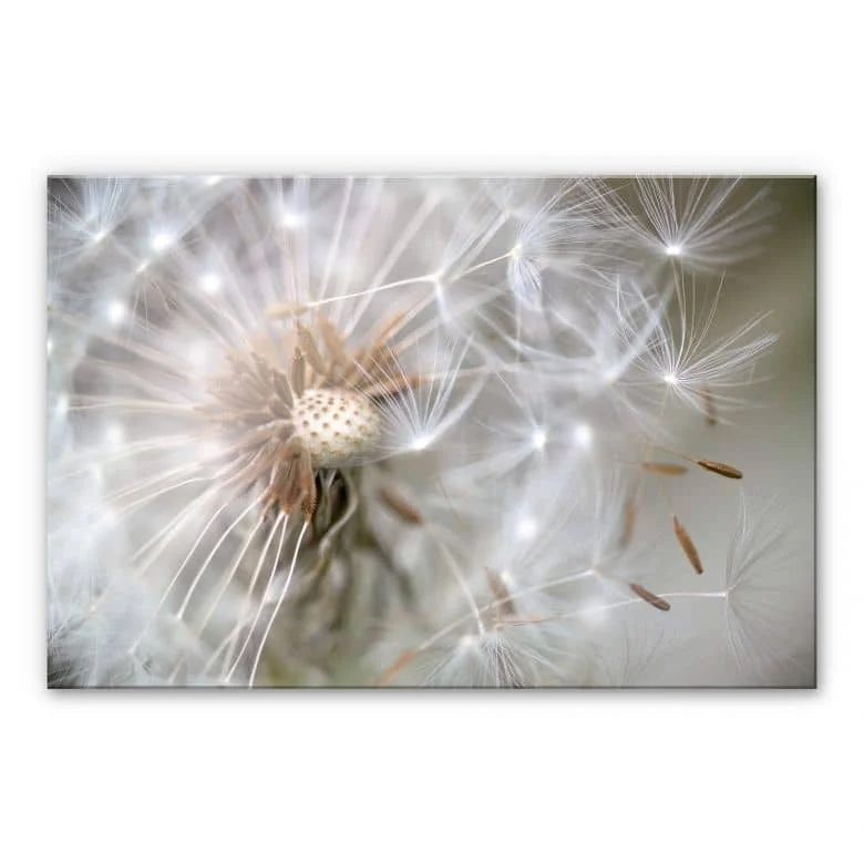 wall-art-1388558