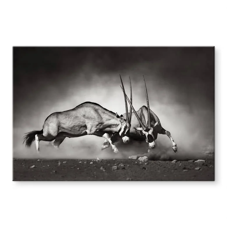 wall-art-1389281