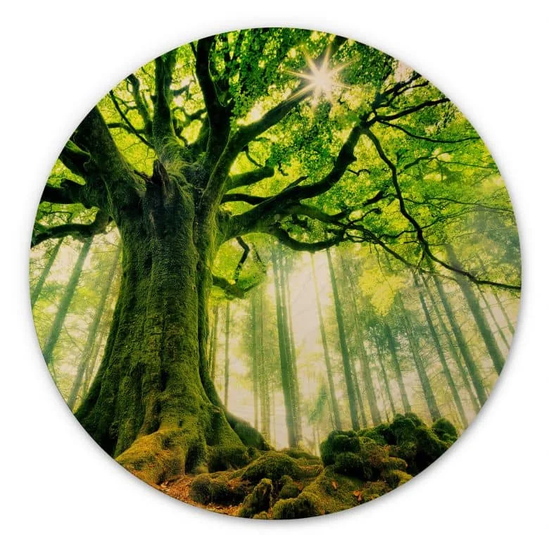 wall-art-1413748