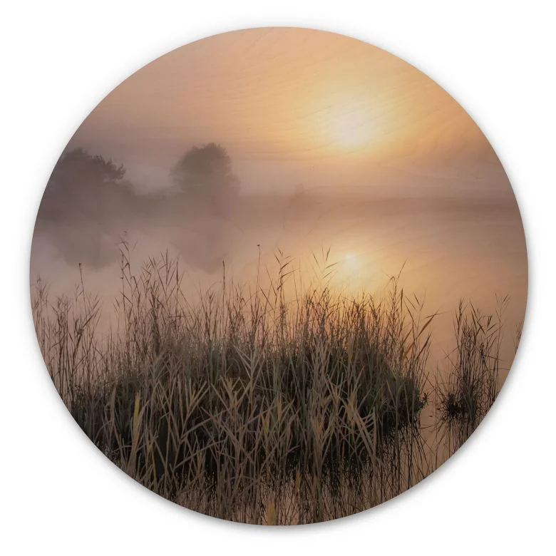 wall-art-1431453