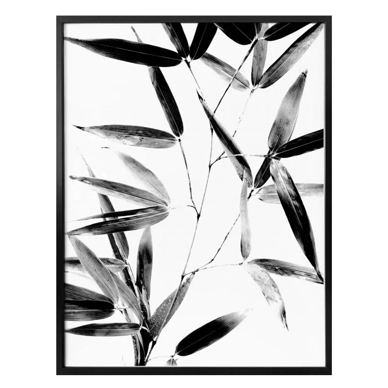 wall-art-1436030